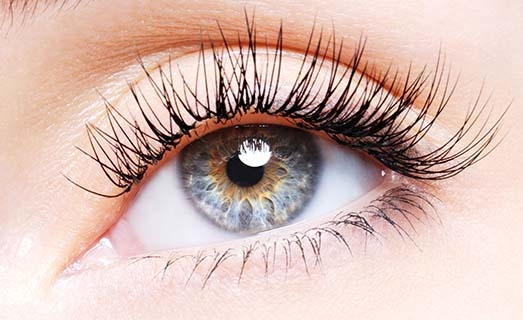 Yeux